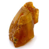 Natural Colombian Copal Resin Specimen
