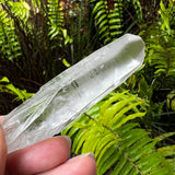 Brazilian Lemurian  Point