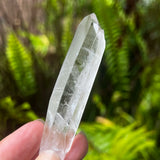Brazilian Lemurian  Point