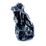 Campo Del Cielo Specimen from Argentina