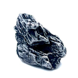 Campo Del Cielo Specimen from Argentina