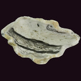 zebra-calcite-dish-samford