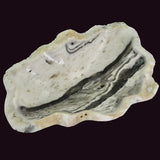 zebra-calcite-dish-samford