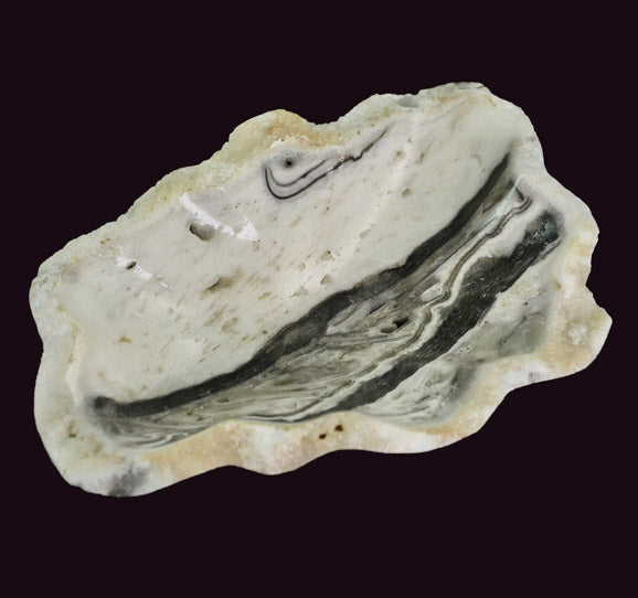 zebra-calcite-dish-samford