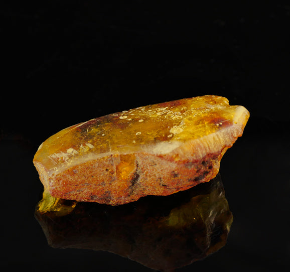 amber-specimen-brisbane