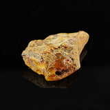 amber-specimen-brisbane