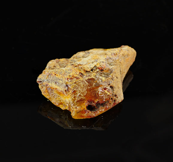 amber-specimen-brisbane