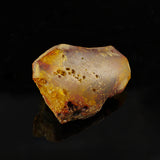 amber-specimen-brisbane