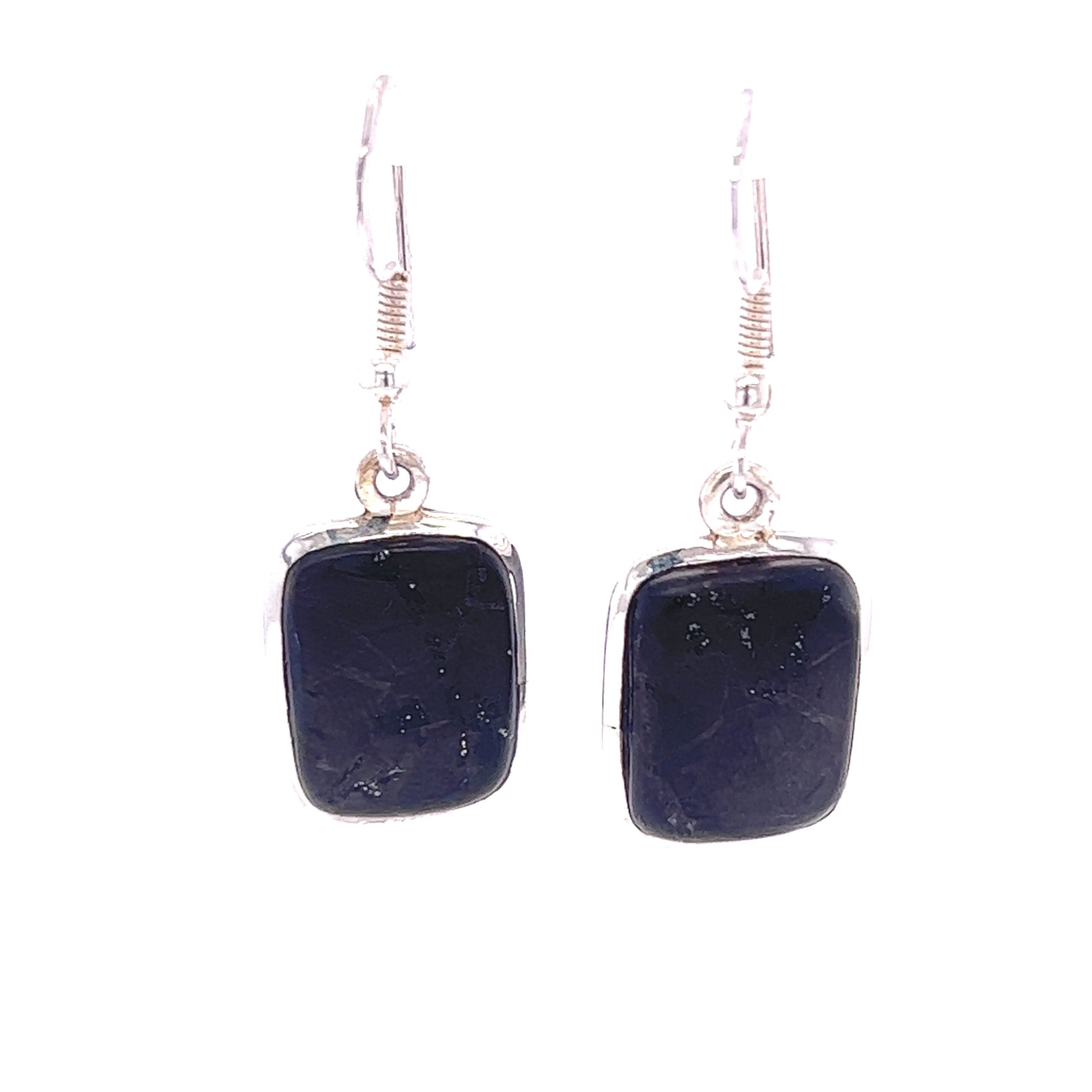 Shungite Drop Earrings