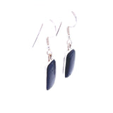 Shungite Drop Earrings