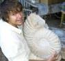 Giant Ammonite Fossil 38Kg
