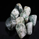 Tree Agate Tumbled Stones