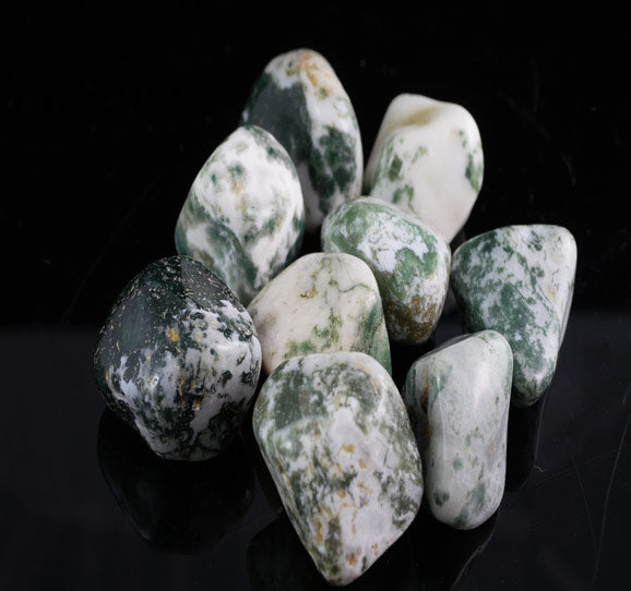 Tree Agate Tumbled Stones