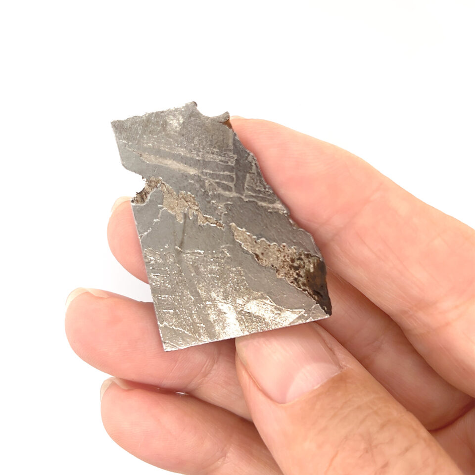 Genuine Gibeon Meteorite Specimen
