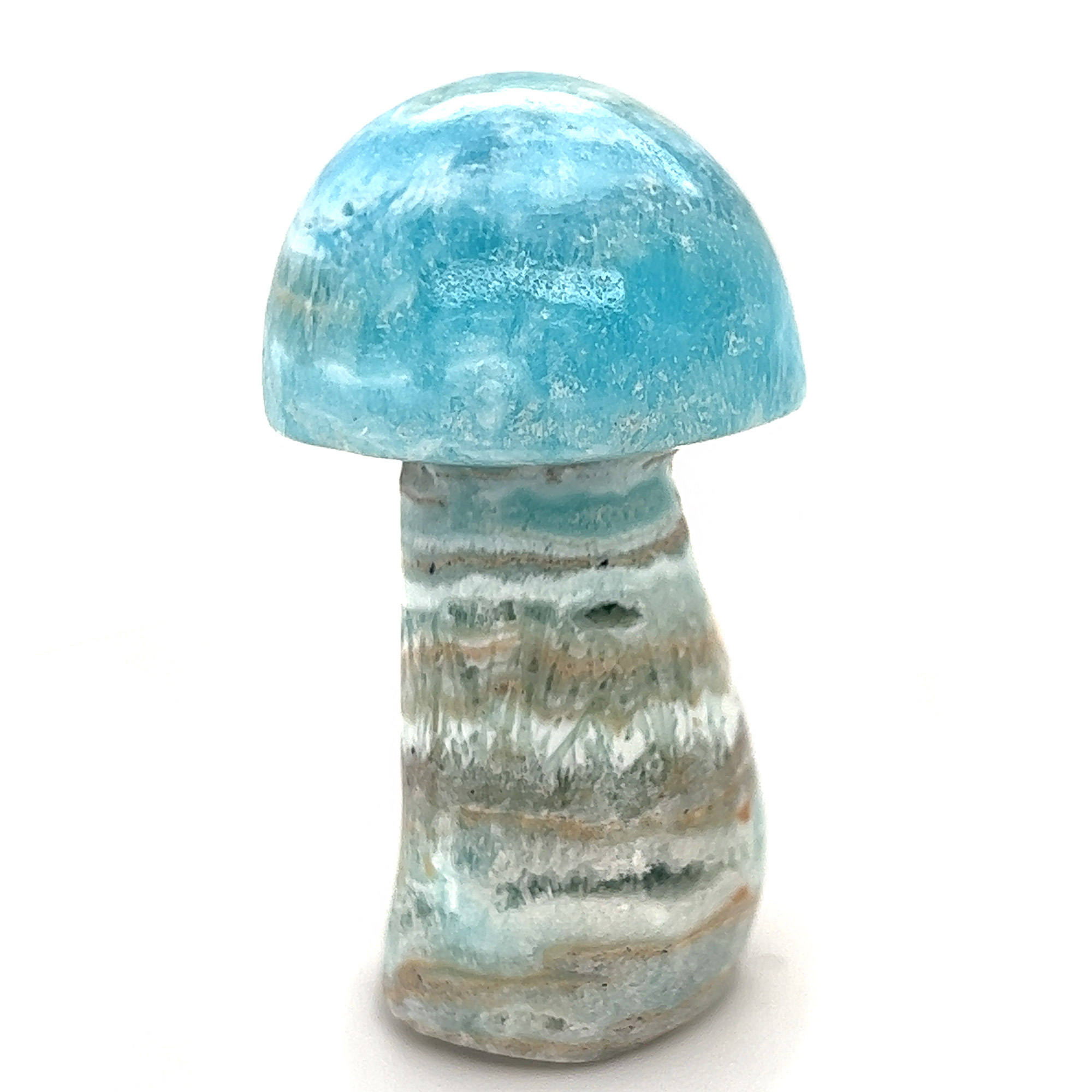 Caribbean-Calcite-Mushroom-M977__2023-06-02-12-07-06-2