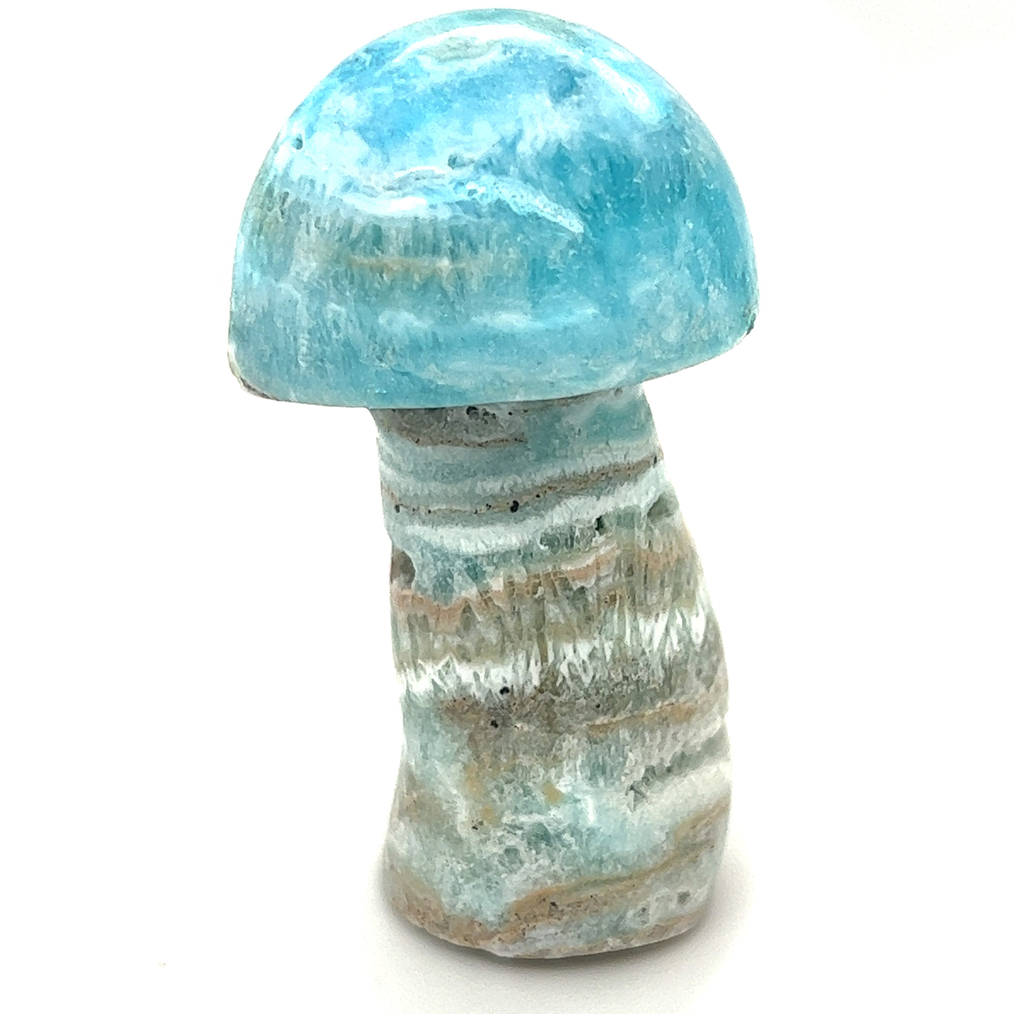 Caribbean-Calcite-Mushroom-M977__2023-06-02-12-07-33-2