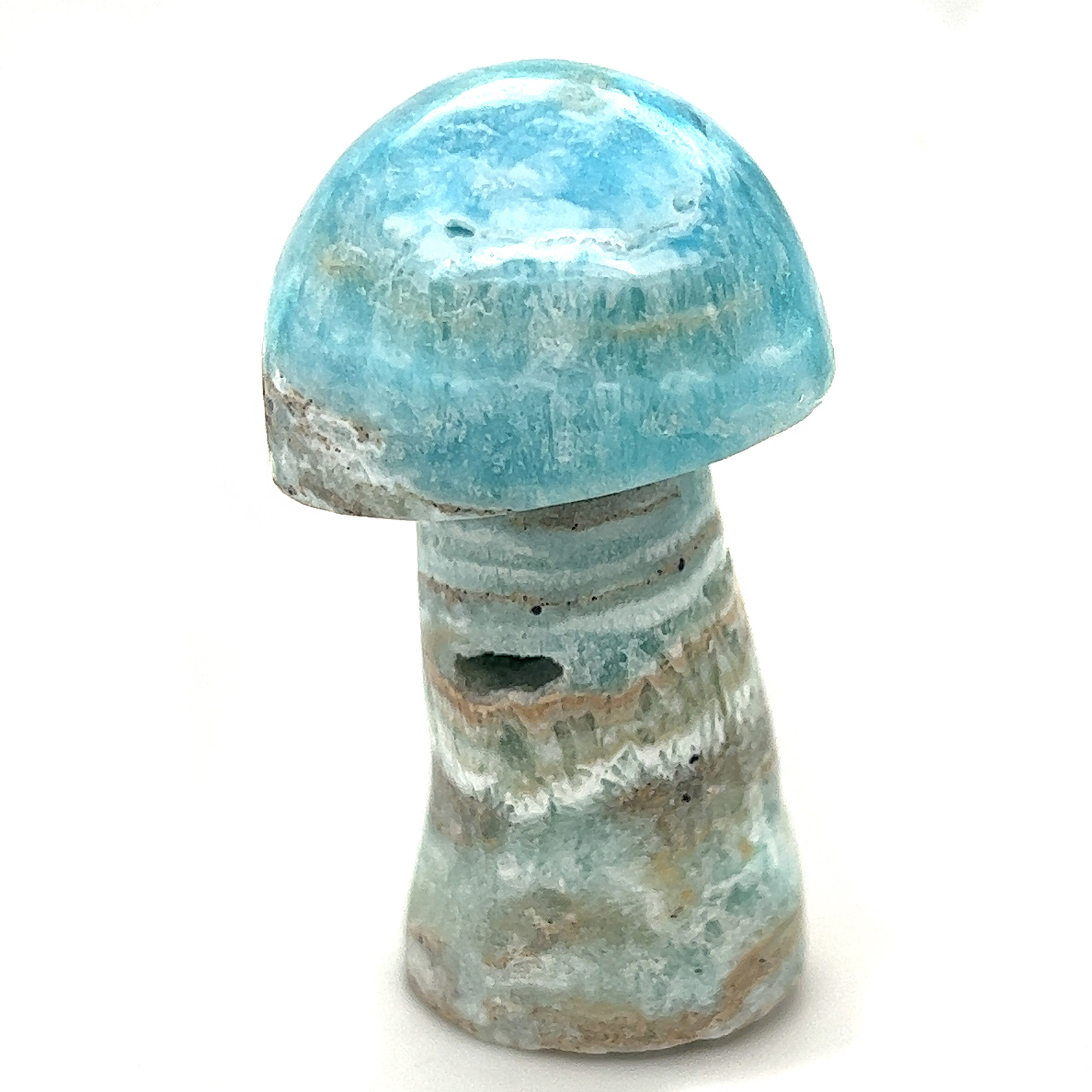 Caribbean-Calcite-Mushroom-M977__2023-06-02-12-08-03-2