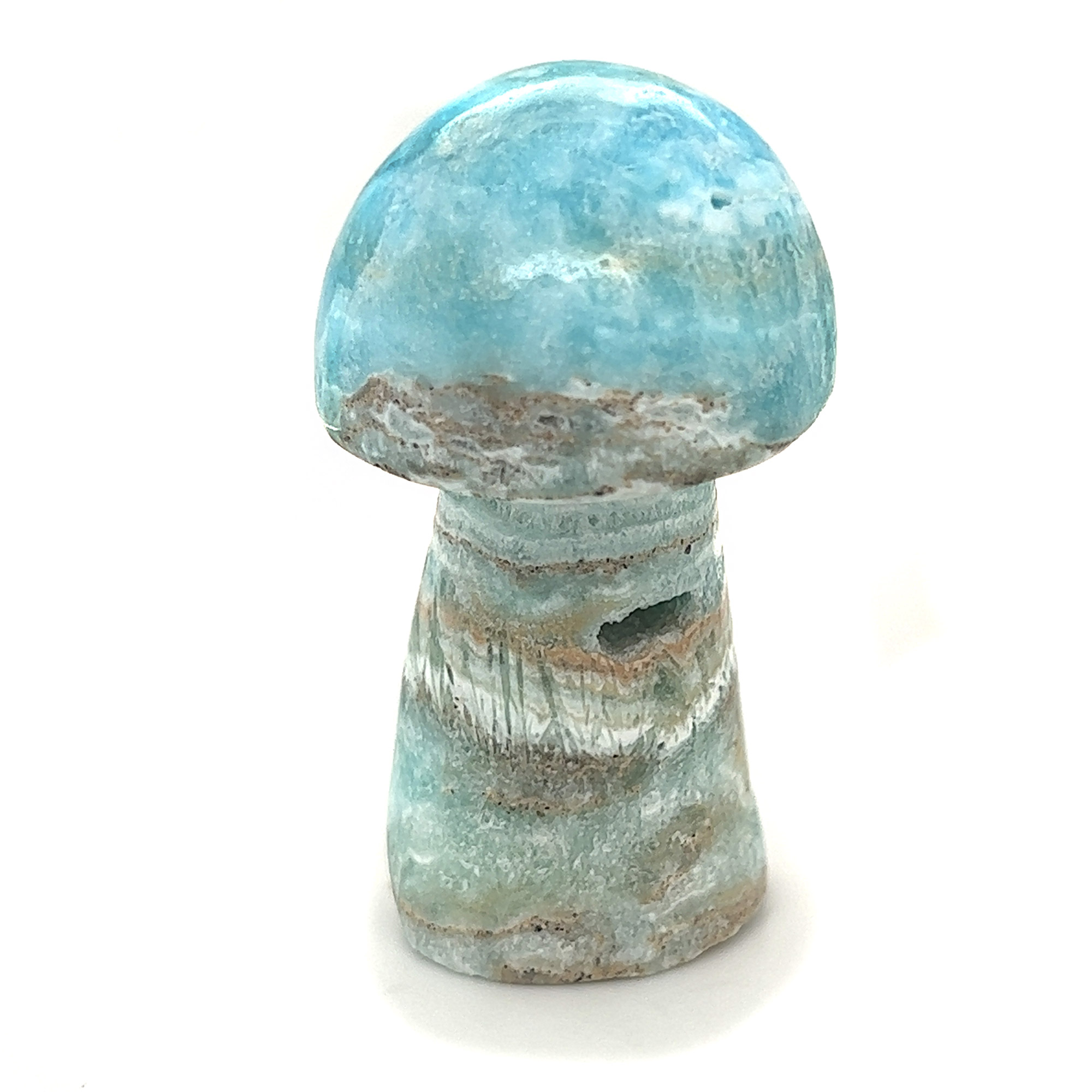 Caribbean-Calcite-Mushroom-M977__2023-06-02-12-08-36-2