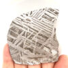 Gibeon Meteorite Large Slice