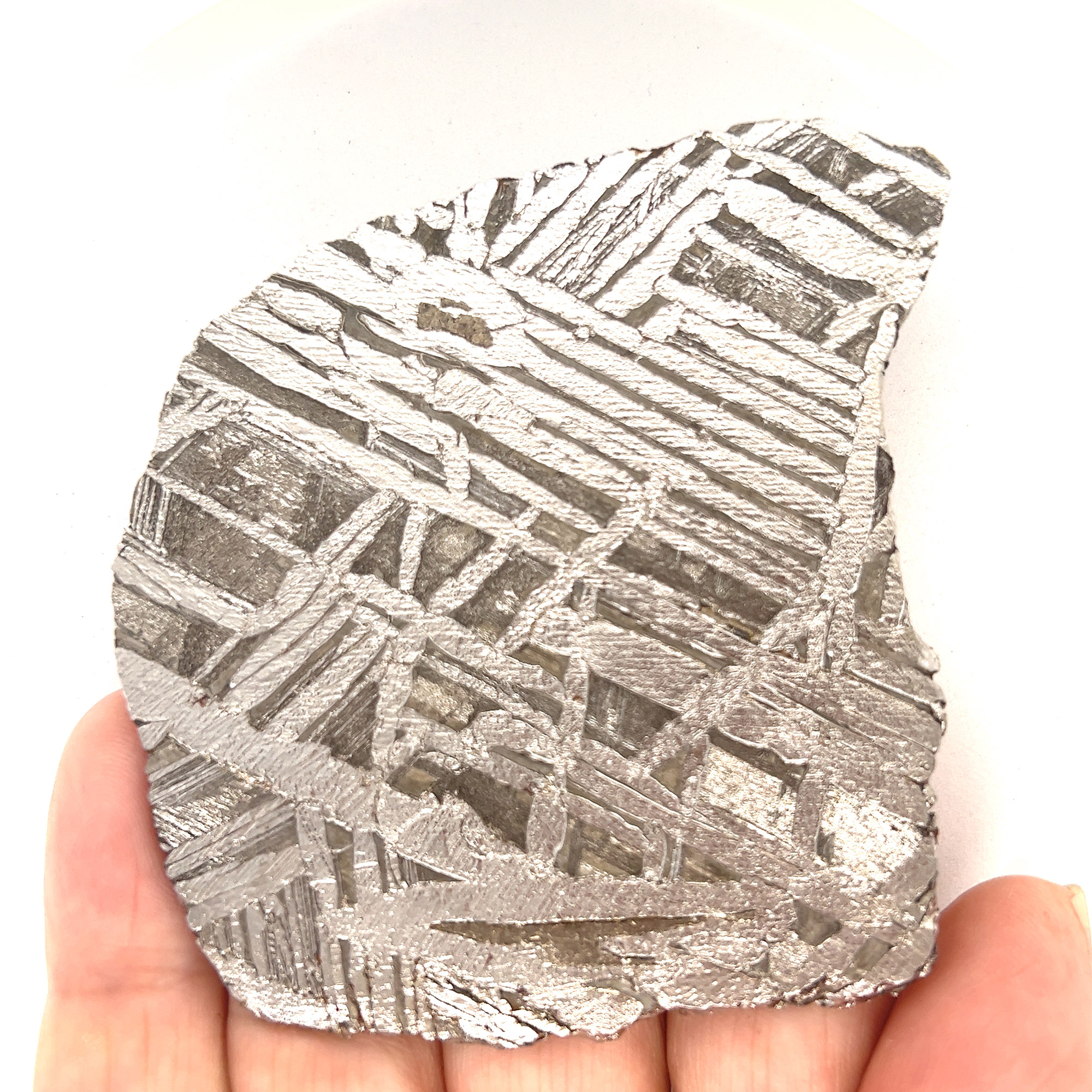 Gibeon-Meteorite-Slice-M857__2023-05-26-13-32-17
